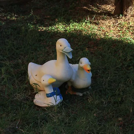 Appartamento With A Parking Space Banjole, - 7242 Pola