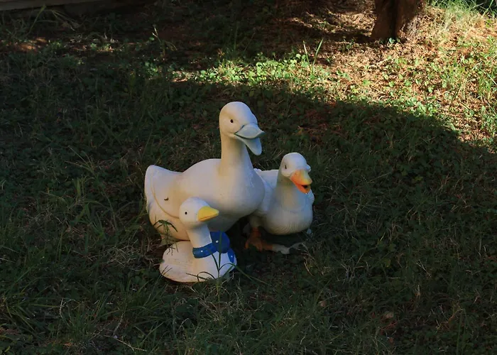 아파트 With A Parking Space Banjole, - 7242 풀라